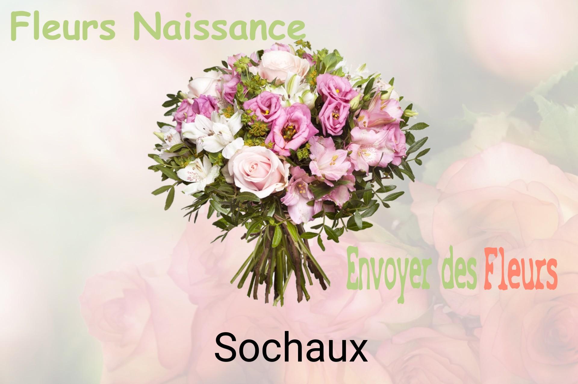 Bouquet de fleurs de naissance livré à Sochaux